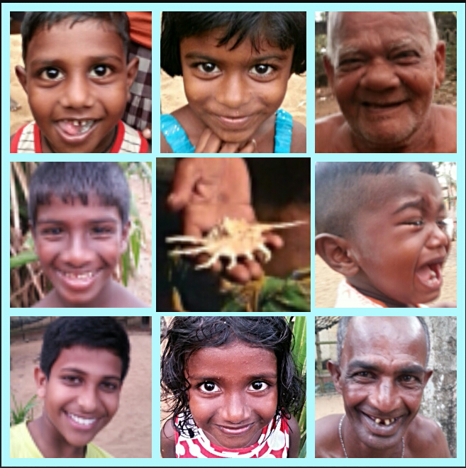 Tsunami Family Collage