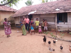 Tsunami Family