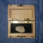 Insight Meditation Shell