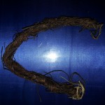 Jungle Tree Vision Vine Talisman