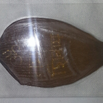 Shivaratri Lotus Petal Talisman