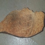 Dambulla Coconut Shell Talisman